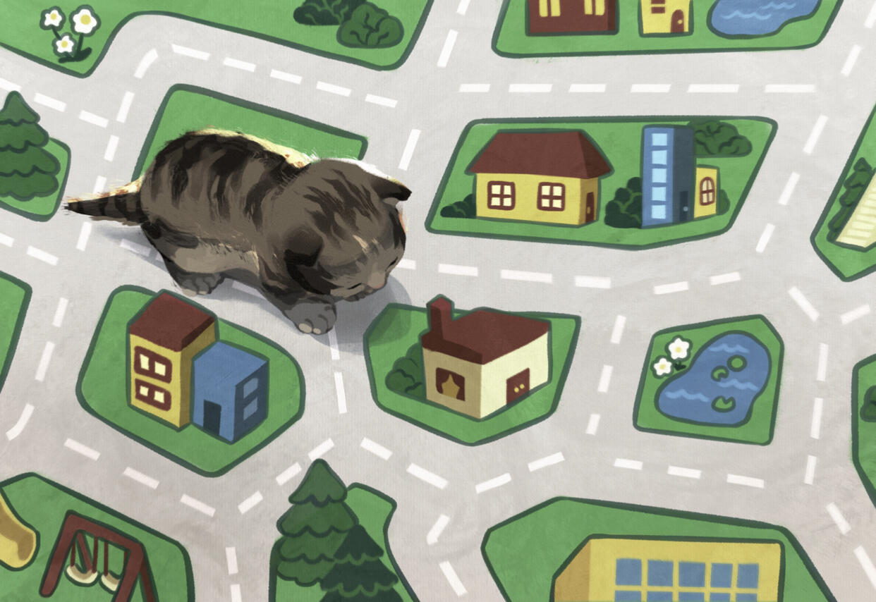 Kitten Terrorizes Playmat City