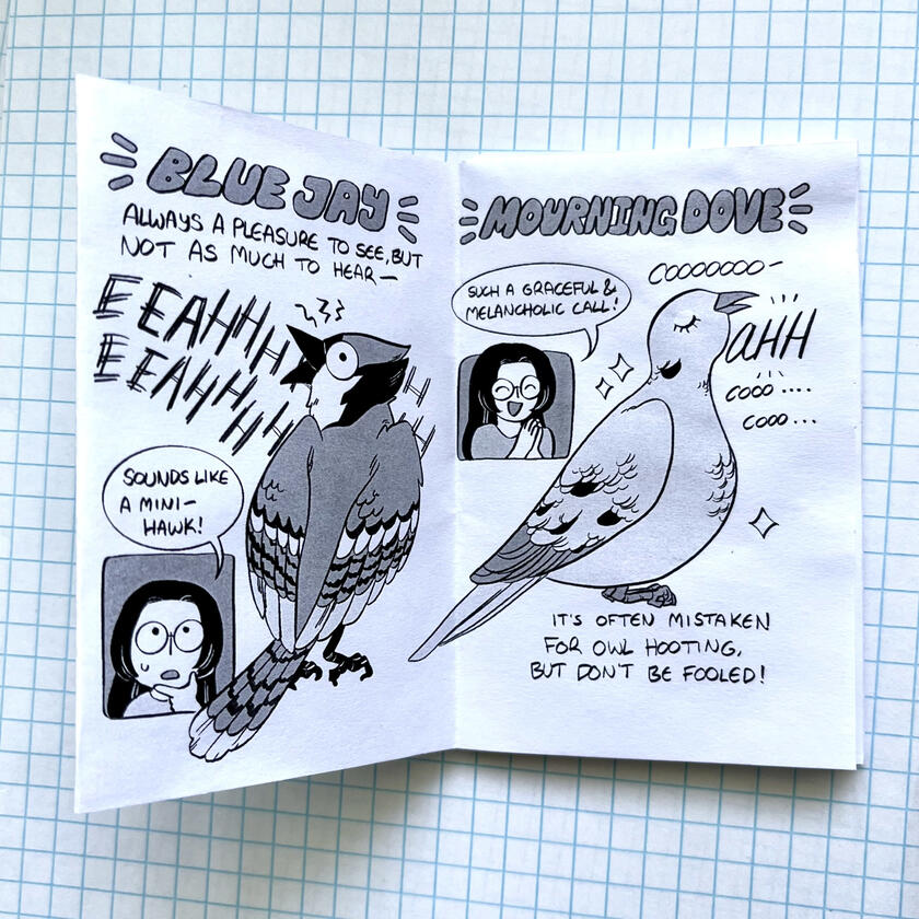 Backyard Bird Calls of New York - Interior