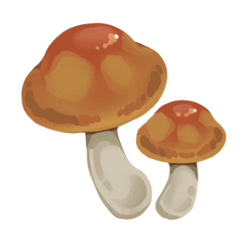 Homemade in Hyrule Vol. 2